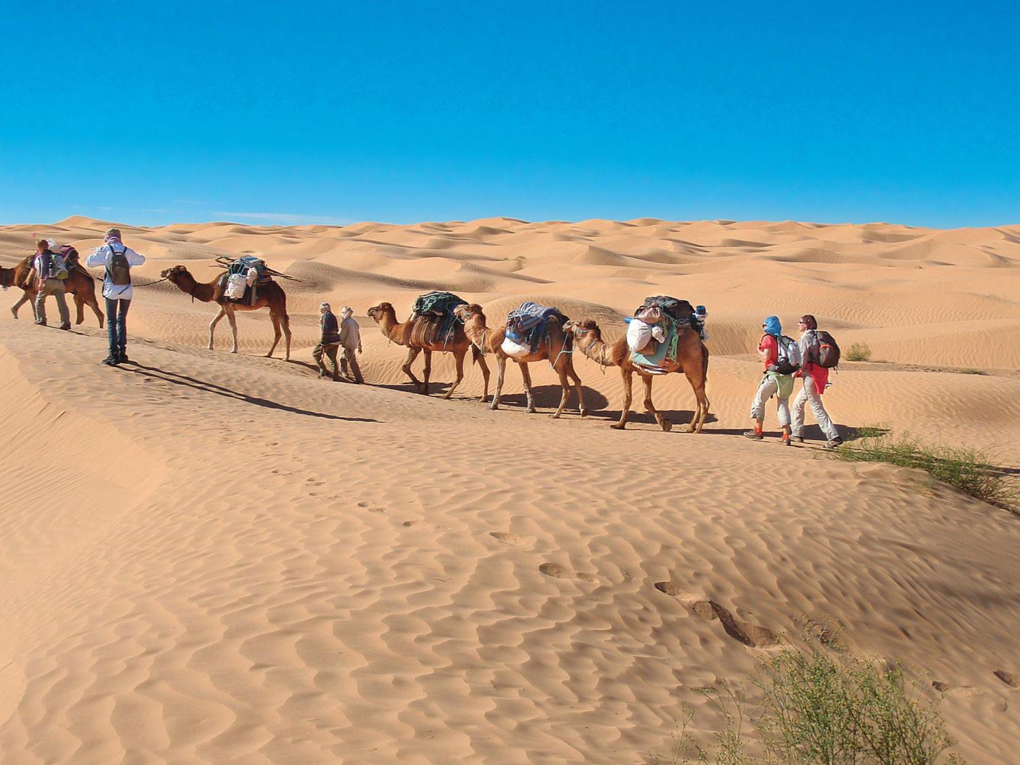 Camp Sahara Holidays M'Hamid Exterior foto